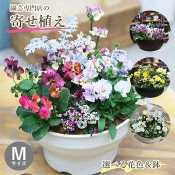 専門店の寄せ植え | ギャラリー | 滋賀県東近江市のガーデニングなら