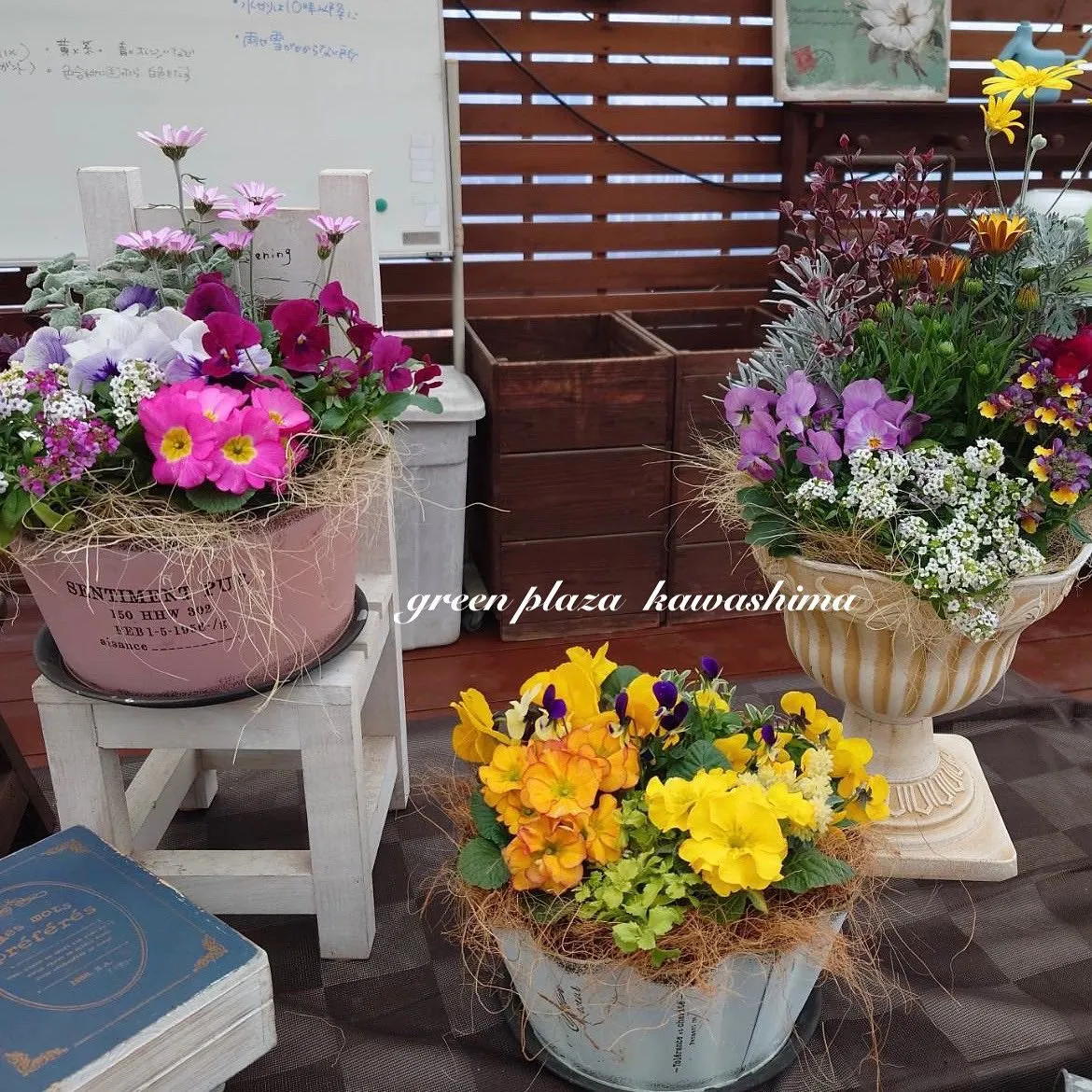 １月20日(土)寄せ植え講習会の様子💕