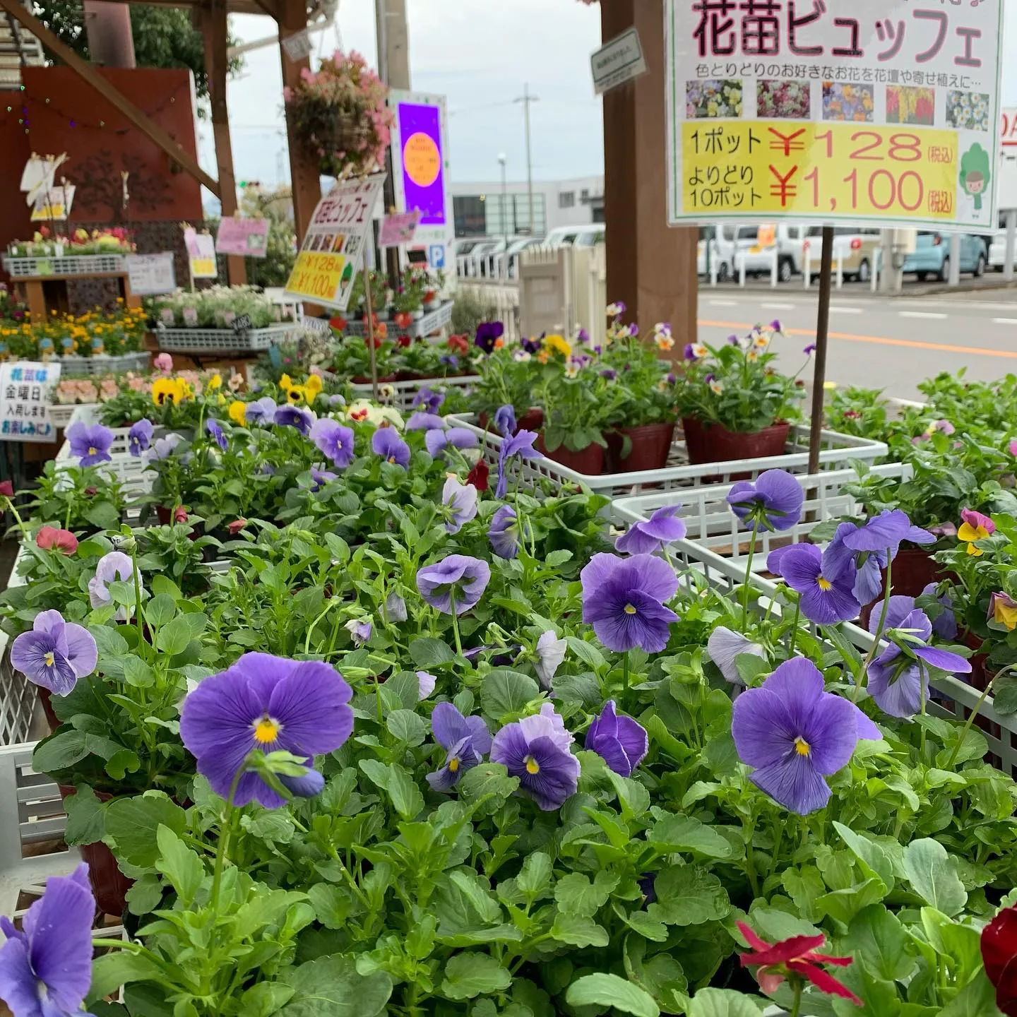 秋の園芸フェア