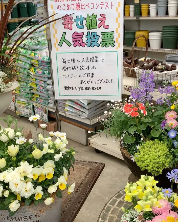 スタッフによる寄せ植えコンテスト❣️